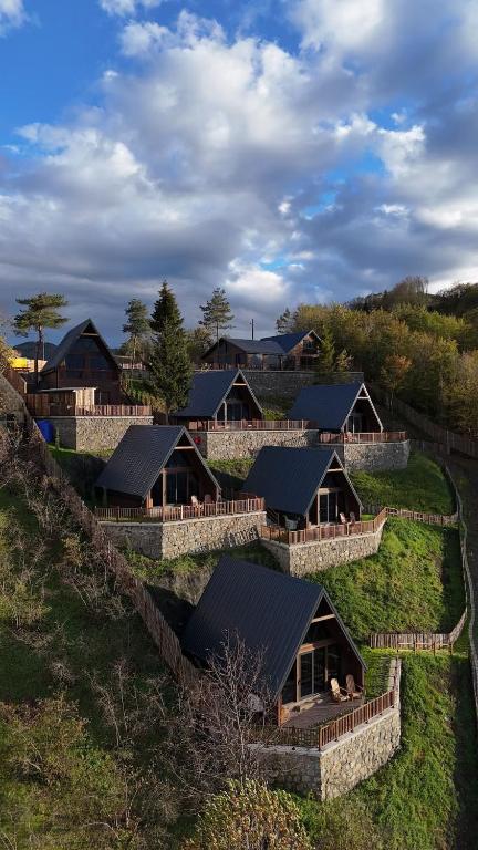 a group of houses on a hill with grass at Ötüken Dağ Evleri in Akcaabat