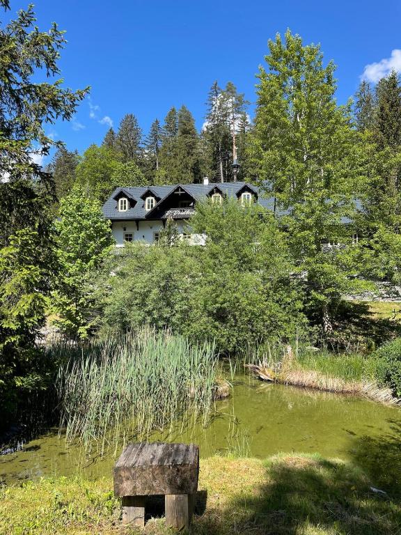 a house sitting on top of a hill next to a pond at Ferienwohnung Sonnenblick in Hinterstoder