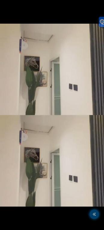 two pictures of a room with a mirror and a plant at Damah's property in Gwarinpa