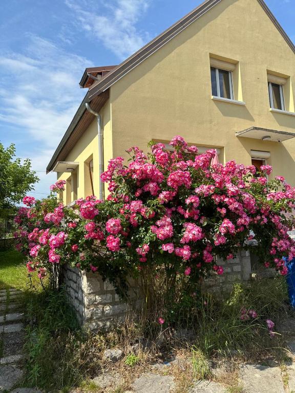 a house with pink flowers in front of it at L'Authentique Jurassien in Champagnole