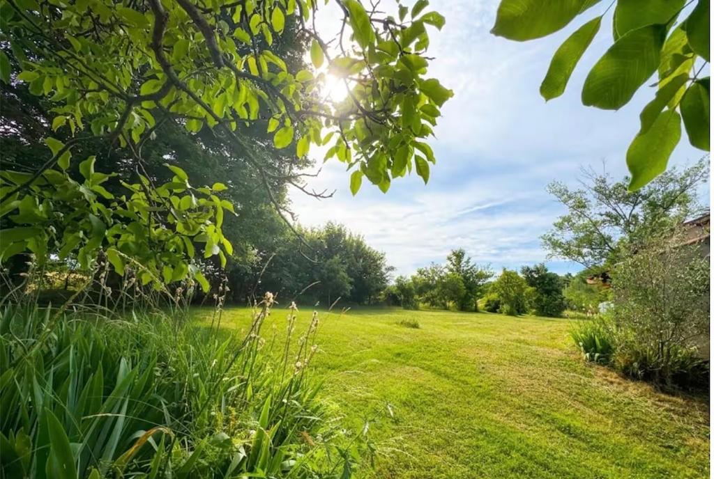 a field of green grass with the sun in the sky at Le Cottage in Aguts