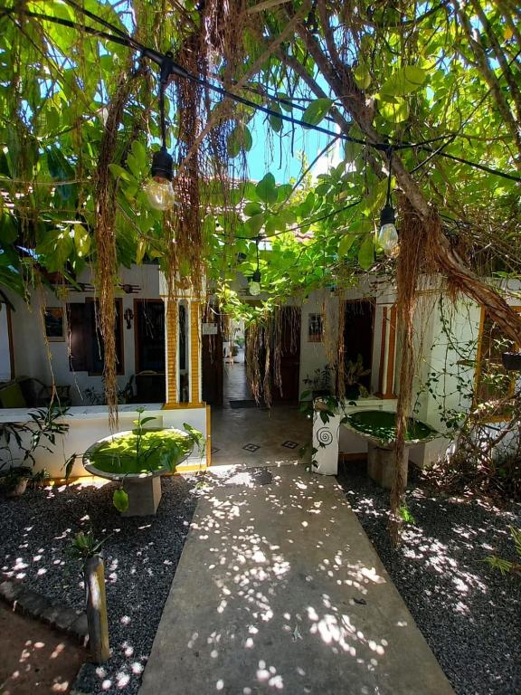a courtyard with two benches and a tree at Avalon Villa Unawatuna in Unawatuna