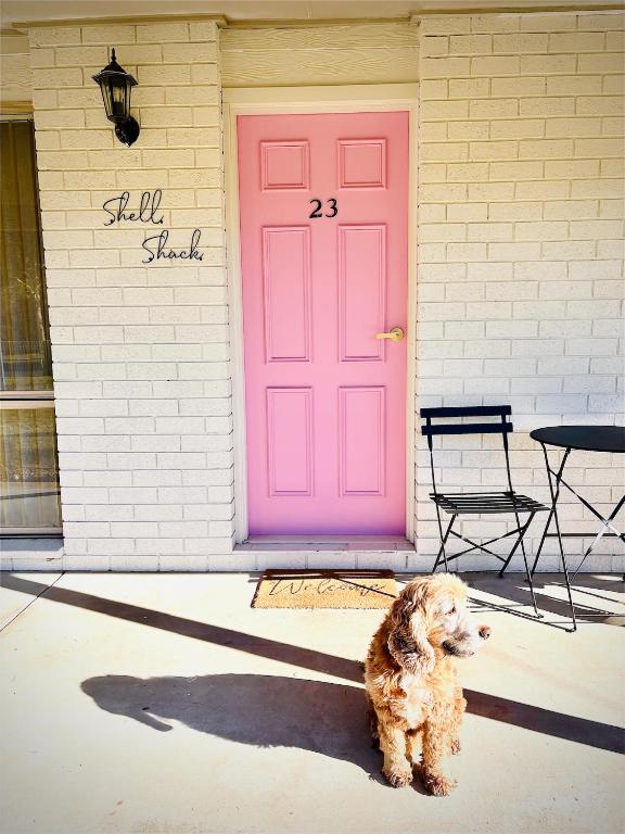 a dog sitting in front of a pink door at Shell Shack in Tomakin