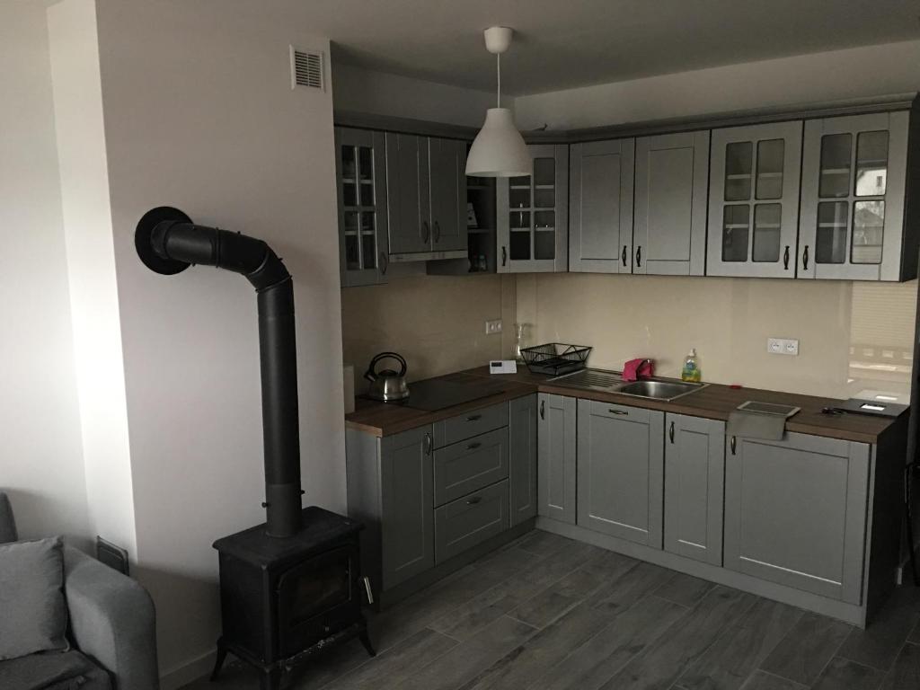 Kuchyňa alebo kuchynka v ubytovaní Apartament Danusia