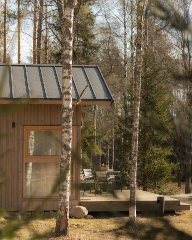 a cabin with a solar roof in the woods at Braslas čuksti in Brasla