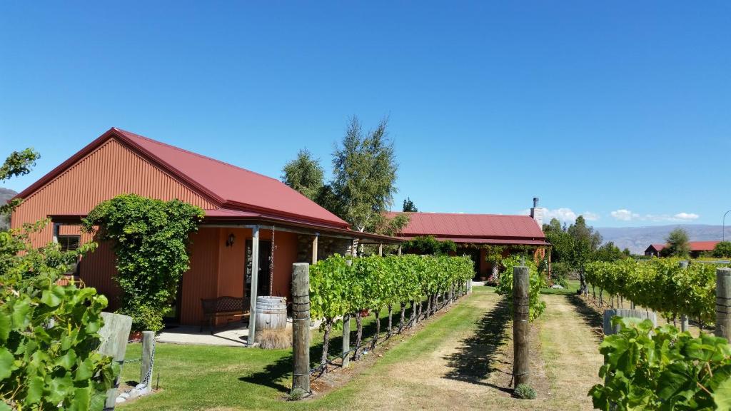 Une grange dans un vignoble avec un tas de vignes dans l'établissement River Rock Estate, à Cromwell