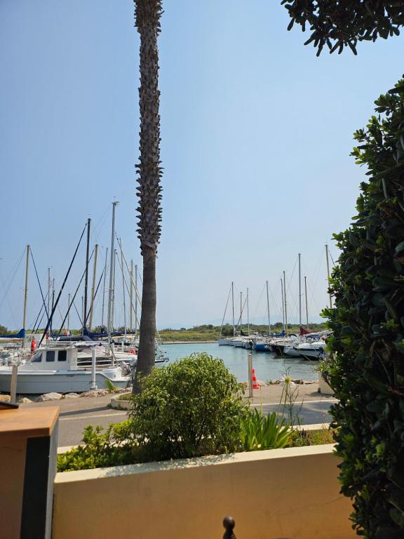 a marina with boats in the water and palm trees at BoatMotel in Sainte-Marie-la-Mer