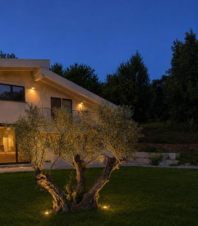 a tree in front of a house at night at The Queen Oak - nature relais in Santa Marina