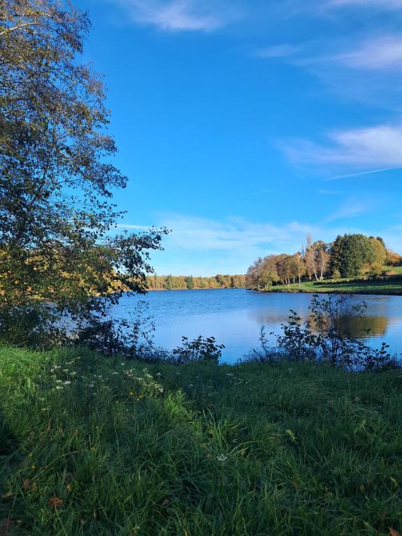 a view of a lake with trees in the background at Chambre insolite in Saint-Mathieu