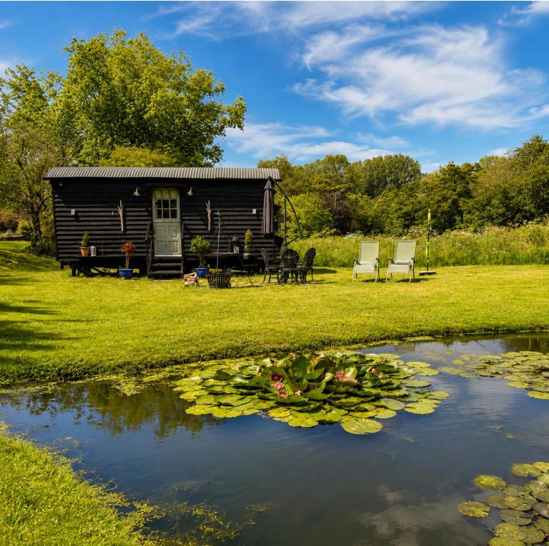 a log cabin with a pond in front of it at Mountbatten Shepherds hut & Buckhurst Shepherds hut in Ashford