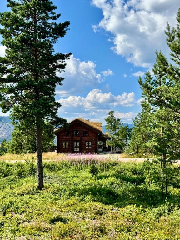 a house in a field with a tree at Koslig helårs hytte in Heimdal