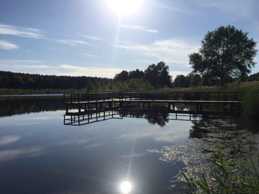 a dock in the middle of a lake at Ośrodek Wypoczynkowy Leśne Ustronie in Witnica