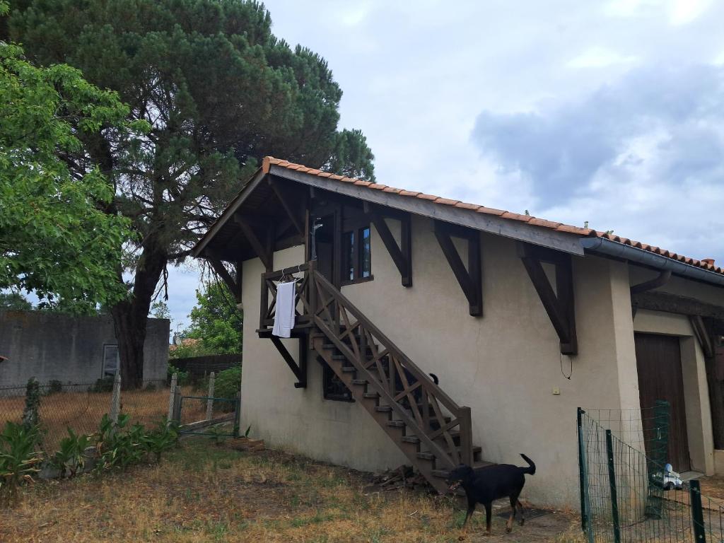 a black dog standing in front of a house at L'auberge Chris and Chris in Retjons