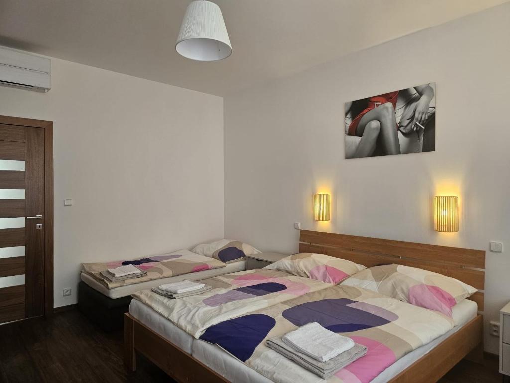 a bedroom with two beds and a painting on the wall at Studio Hálkova in Chlumec nad Cidlinou