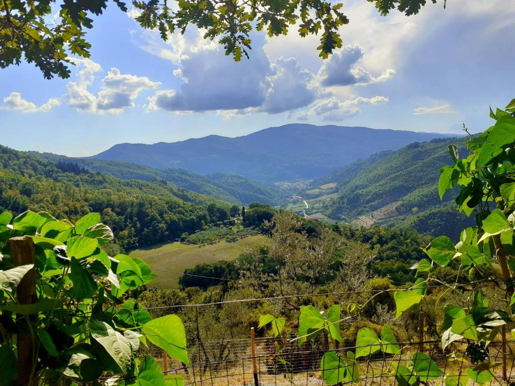 a view of a valley with mountains in the distance at La Felce e il Mirtillo in Il Palazzo