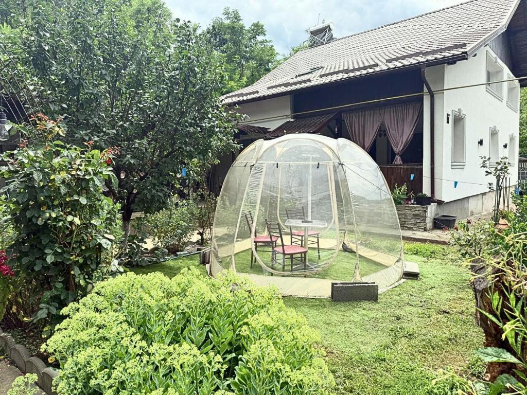 a greenhouse in the yard of a house at Păușa Residence in Păuşa