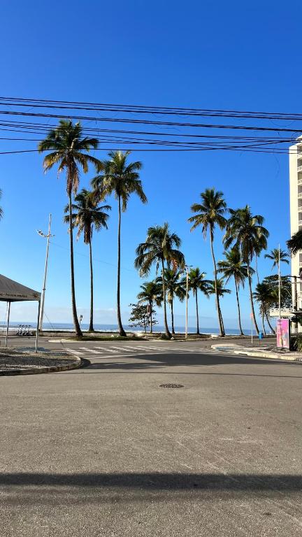 an empty street with palm trees on the beach at Espaço tranquilo e de lazer em Guarujá in Guarujá