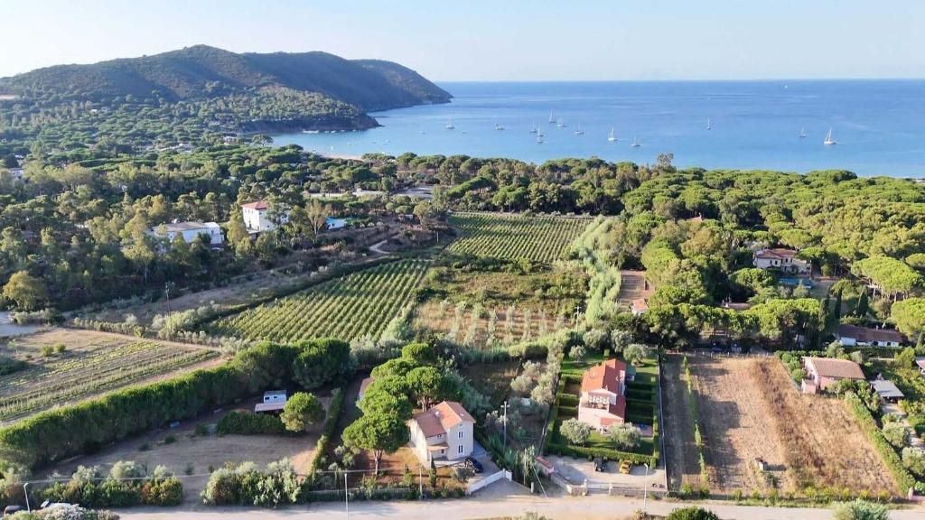 an aerial view of a vineyard next to the water at Charme Villa La Vela - Goelba in Lacona