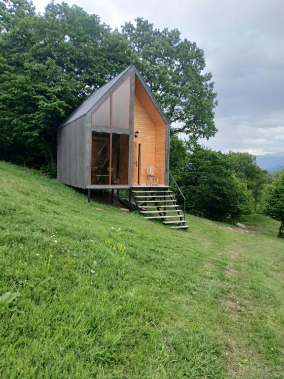 a small wooden house on a grassy hill at Lake Tsover in Dsegh