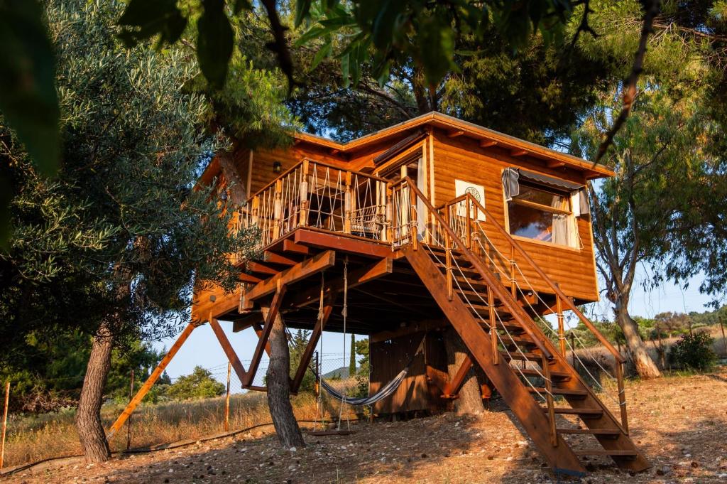 a tree house in a tree at the Treehouse Project in Patra