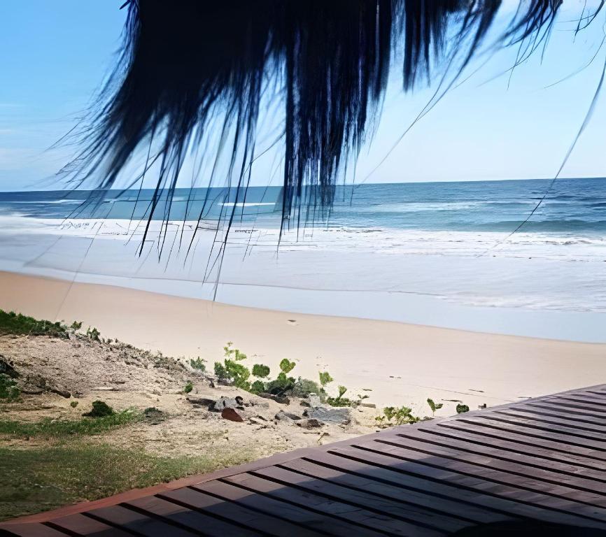 a view of a beach with the ocean at Licuri Praia de Algodões na beira do mar in Marau