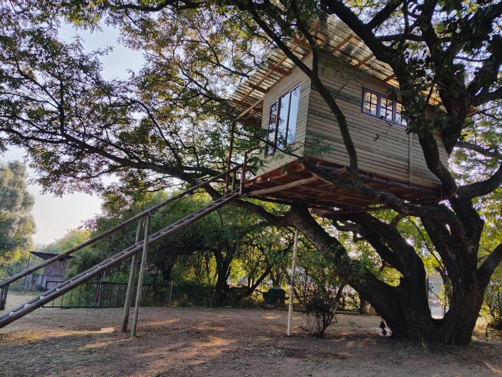 a tree house in a tree with a staircase at Tree house Living in Roodepoort
