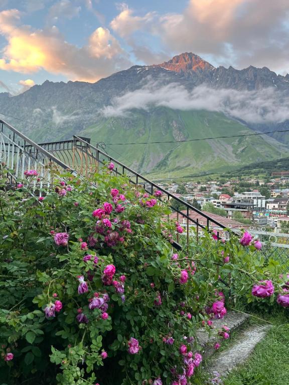 a view of a mountain with pink flowers at Maia's Guest House Gergeti in Kazbegi
