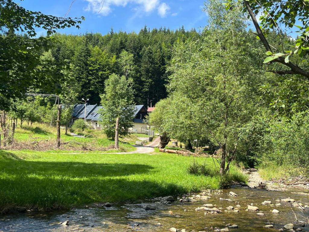 a house in the woods next to a river at Osada Babiogórska - domki gościnne in Zawoja