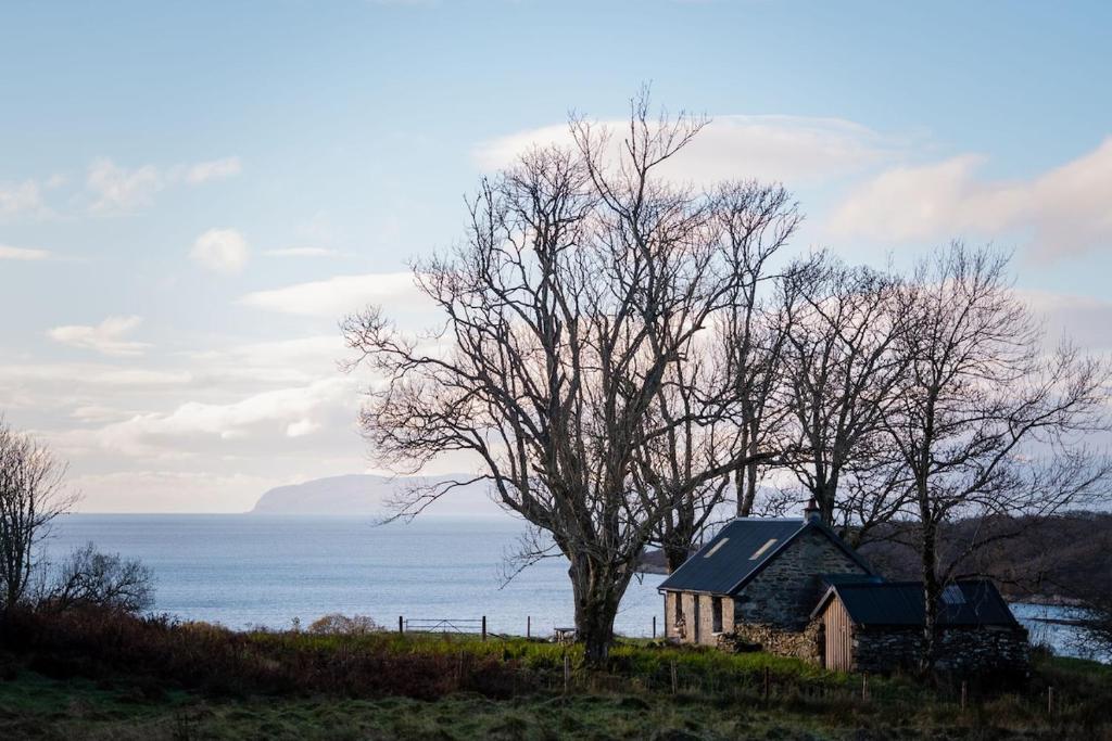 a small house on a hill next to a tree at The Croft Collective in Oban
