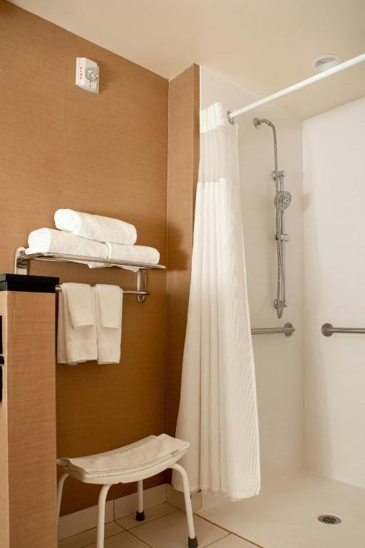 Fairfield Inn & Suites by Marriott Richmond Midlothian - Suite Met Kingsize Bed En Slaapbank