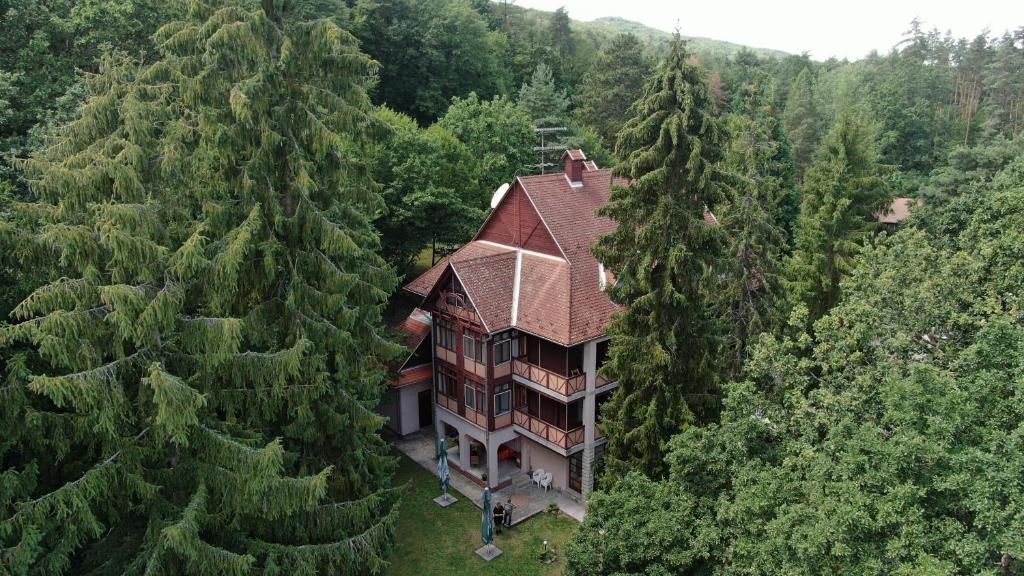 an aerial view of a house in the middle of a forest at Ezüstfenyő Hotel in Telkibánya