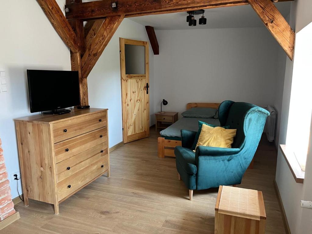 a living room with a blue couch and a tv at Apartament w centrum in Krotoszyn