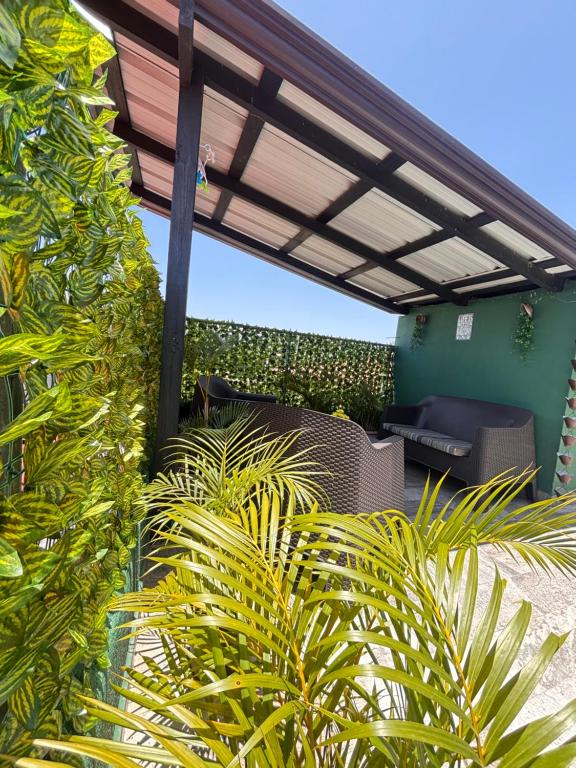 a patio with a pergola and some plants at Lovely tiny studio in Jarabacoa
