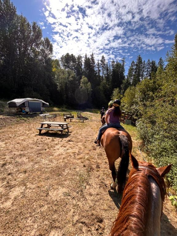 a group of people riding horses in a field at Privet creek side glamping in Chase