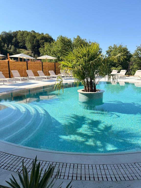 a swimming pool with chairs and a palm tree in it at Ecvestria Chalet in Ocnele Mari
