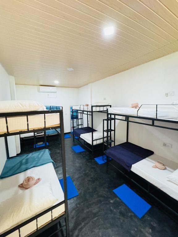 a group of bunk beds in a room at Glowhaven Hostel in Sigiriya