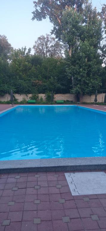 a large blue swimming pool with trees in the background at Одисей in Chişinău