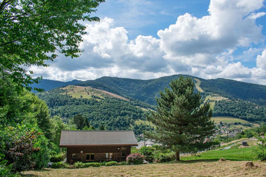 a house in a field with mountains in the background at Chalet entier, vue panoramique, ruisseau et sauna. in Bussang