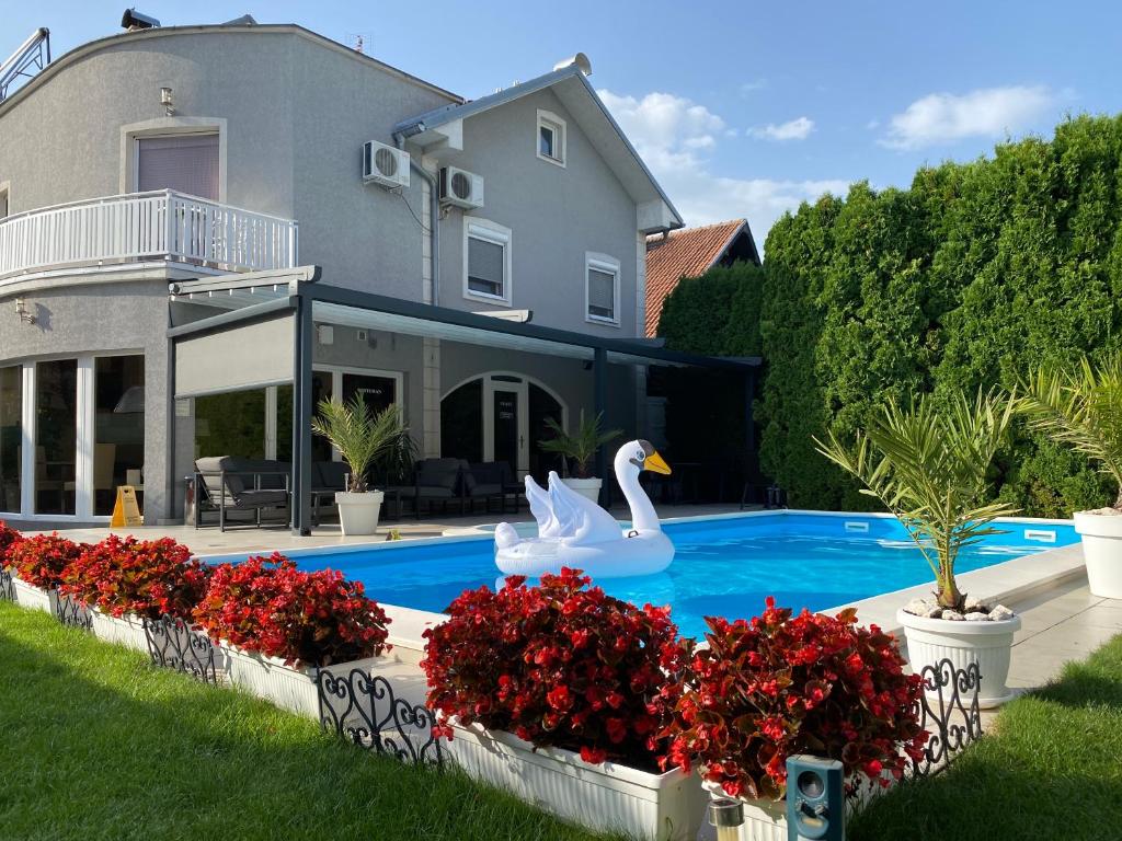a house with two swans in a swimming pool at Vila DeLux in Negotin