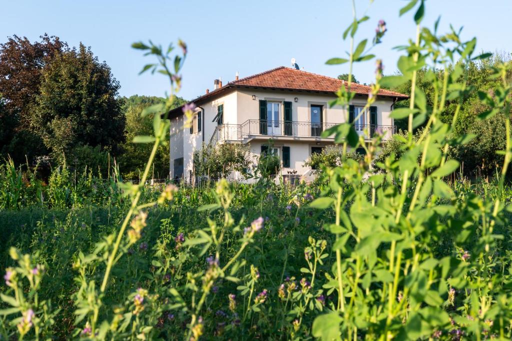 a house in the middle of a field of weeds at Carlo Alberto B&B in Gavi