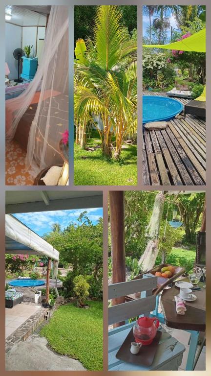 Chez Anna et Hugues - photo 7 - Moorea, Polynésie