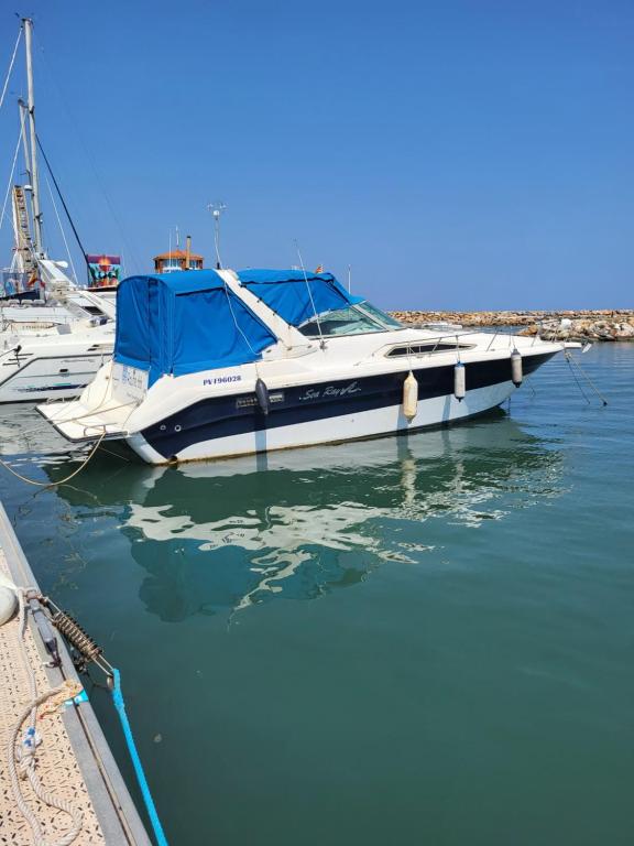 a boat is docked at a dock in the water at Bateau 66 in Le Barcarès