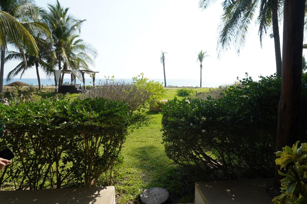 a garden with palm trees and a view of the ocean at Casa Macagua in El Puertecito