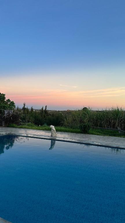 a bird sitting in the middle of a pool of water at jnan Lemonie in Asilah
