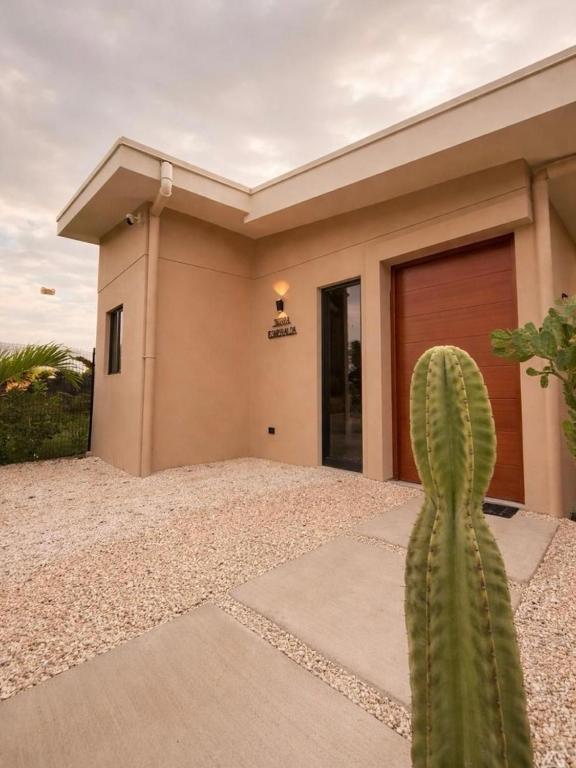 a green cactus sitting in front of a house at Casa Tierra Esmeralda in Parrita
