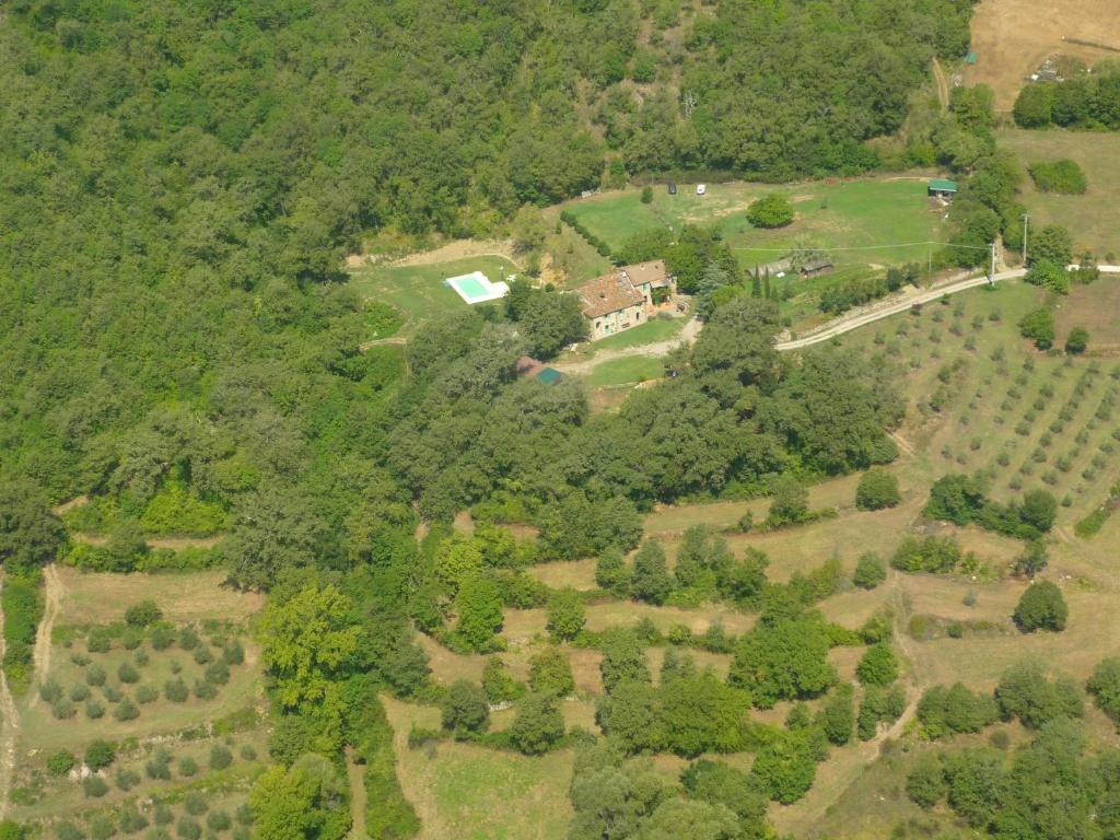 een luchtzicht op een huis midden in een bos bij All'Antico Silbule in Capolona