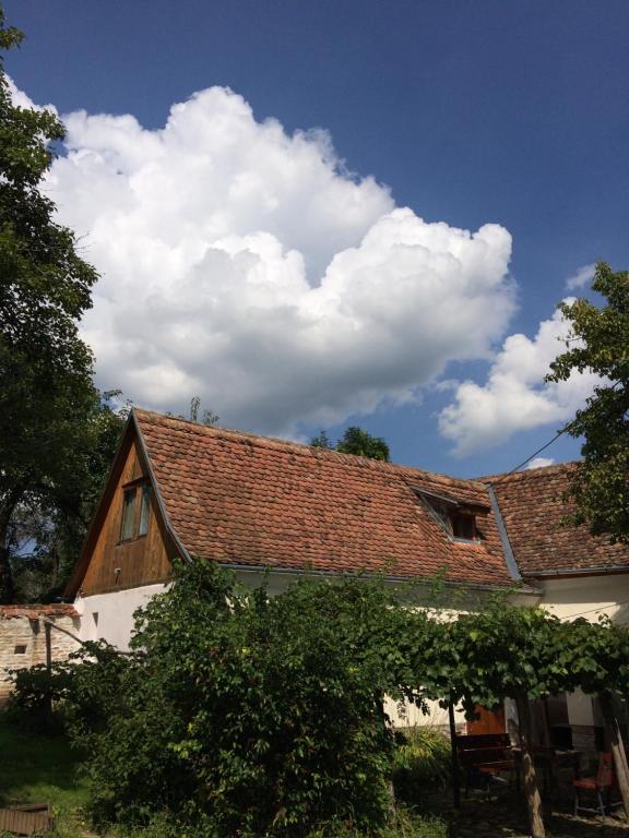 una casa con techo de baldosa y nubes en el cielo en Dominic Boutique - Casa Mare en Cloaşterf