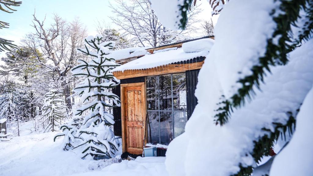 a wooden cabin in the snow with snow covered trees at Refugio de montaña Küme Mongüen in Malalcahuello