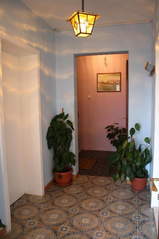 Fotografia z galérie ubytovania Apartments Miše v Trogiri