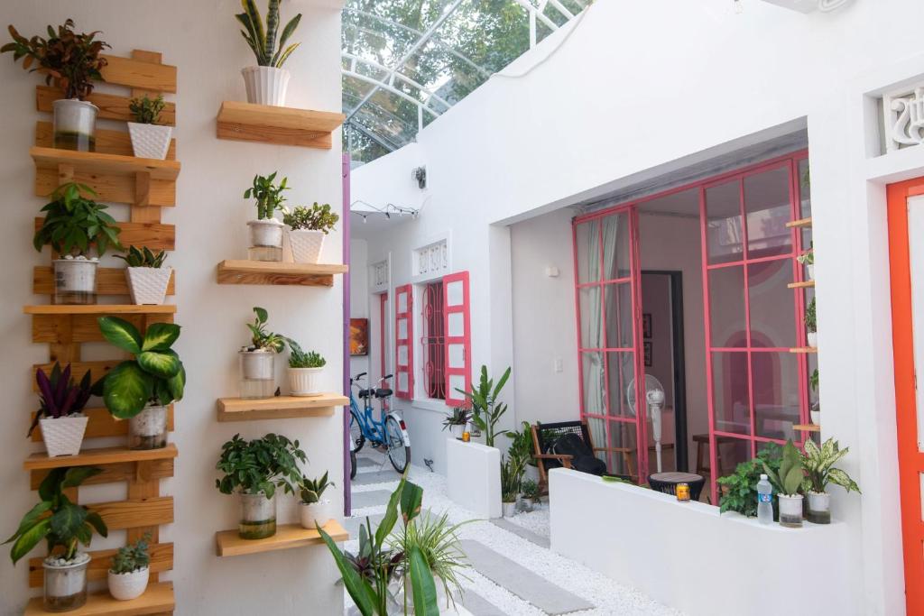 a room with potted plants on the wall at An Du Boutique Stay in Dong Hoi